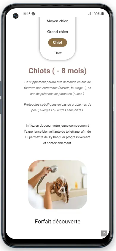 site web salon un poil plus court smartphone